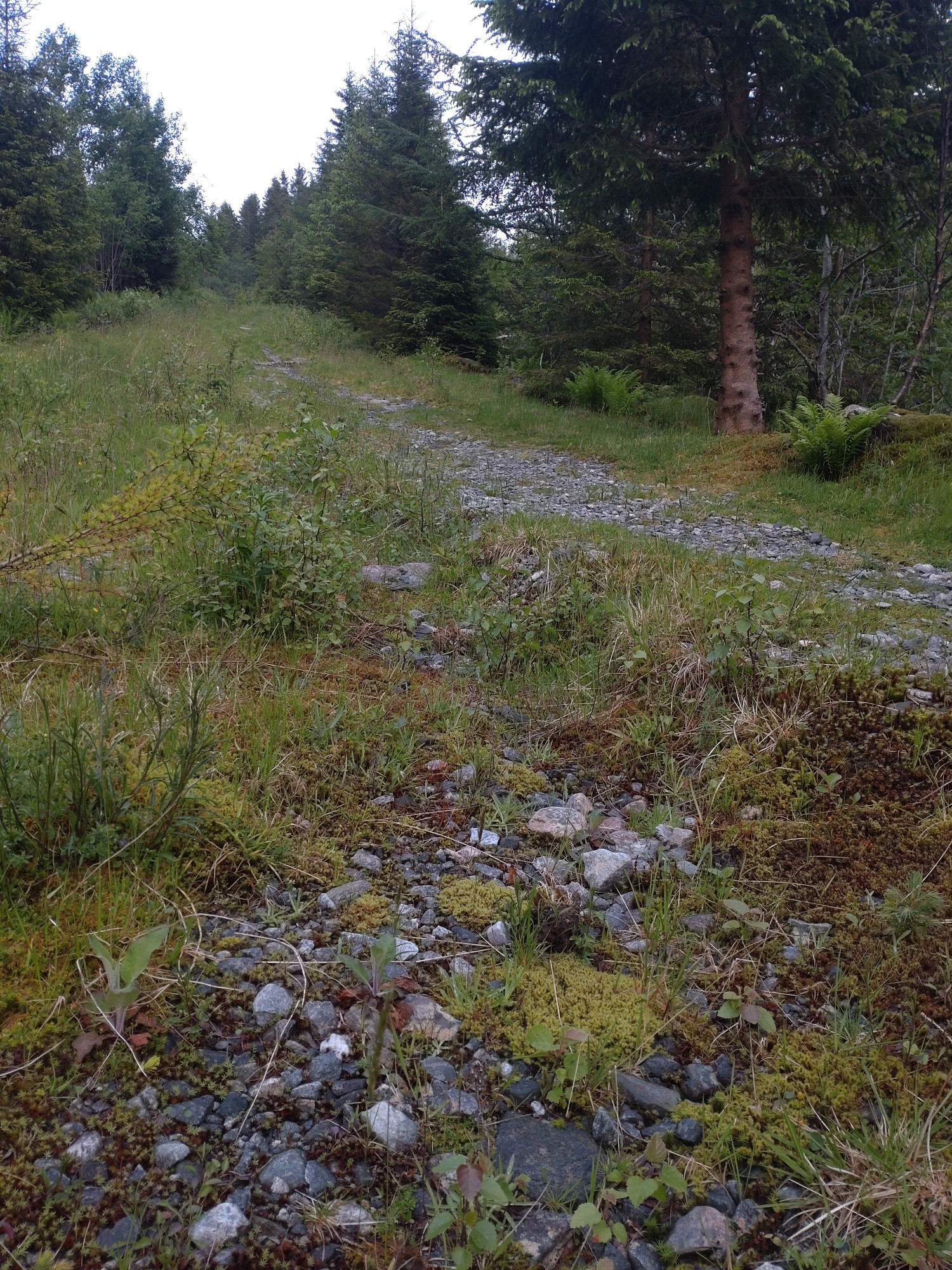 Bilete frå botnen peikande oppover